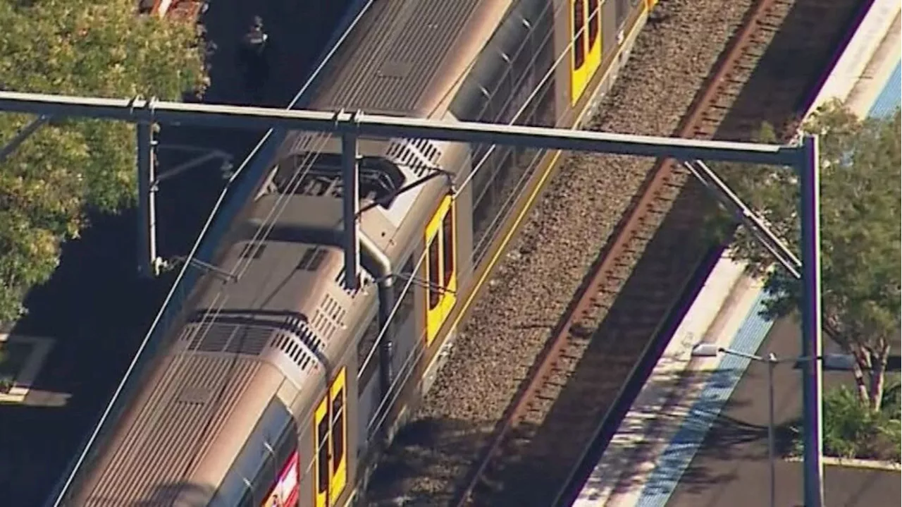 Pram with twins rolls in front of oncoming Sydney train, toddler and 'heroic' father killed