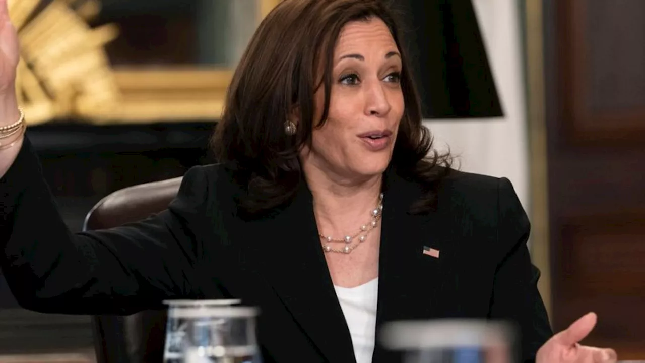 US-Wahlkampf: Kamala Harris gegen Donald Trump - Hat sie eine Chance?