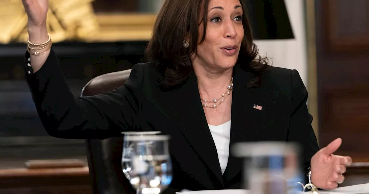 Kamala Harris gegen Donald Trump - Hat sie eine Chance?