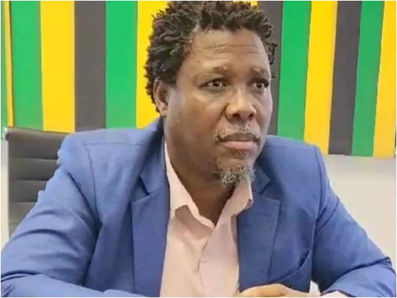 ‘Buffoon, moron’: Nehawu blast ANC KZN’s Bheki Mtolo