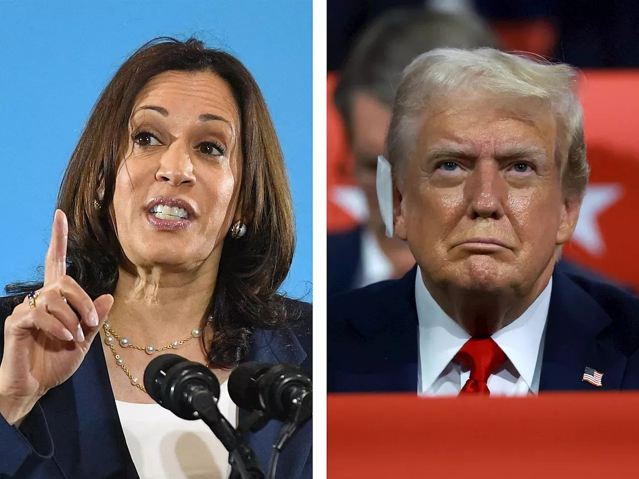 Harris vs Trump What polls tell us about the US presidential race