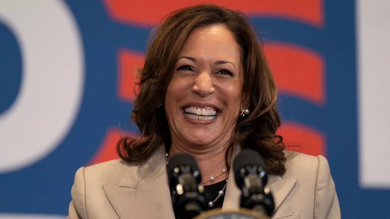 What is Kamala Harris’ coconut tree? Meme explained