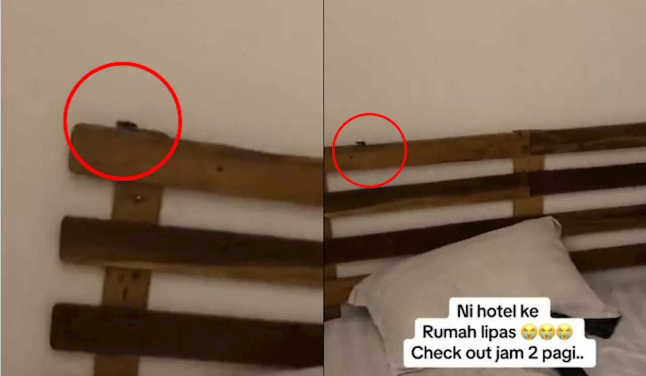 [Video] Pelancong Jumpa 10 Ekor Lipas Dalam Bilik Hotel, Sanggup Check-out Tengah Malam Sebab Geli