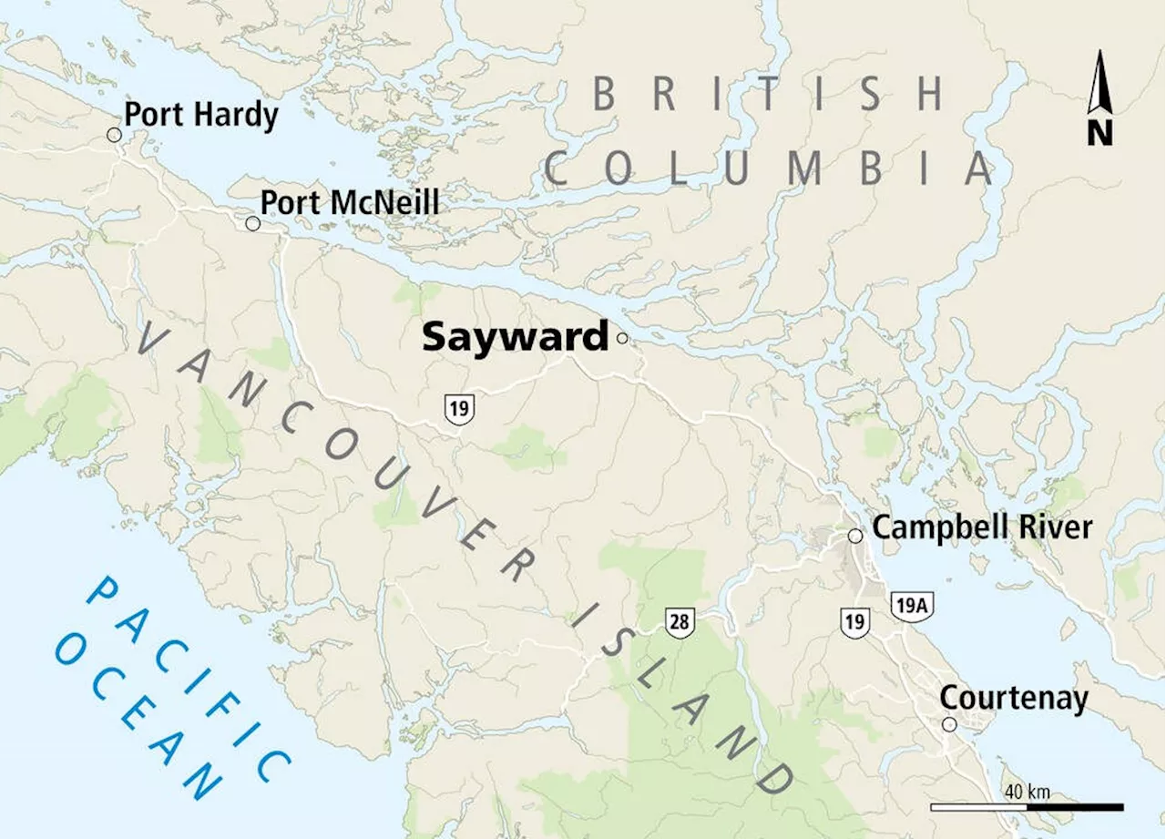 Village of Sayward elects a former councillor and a former administrator in byelection