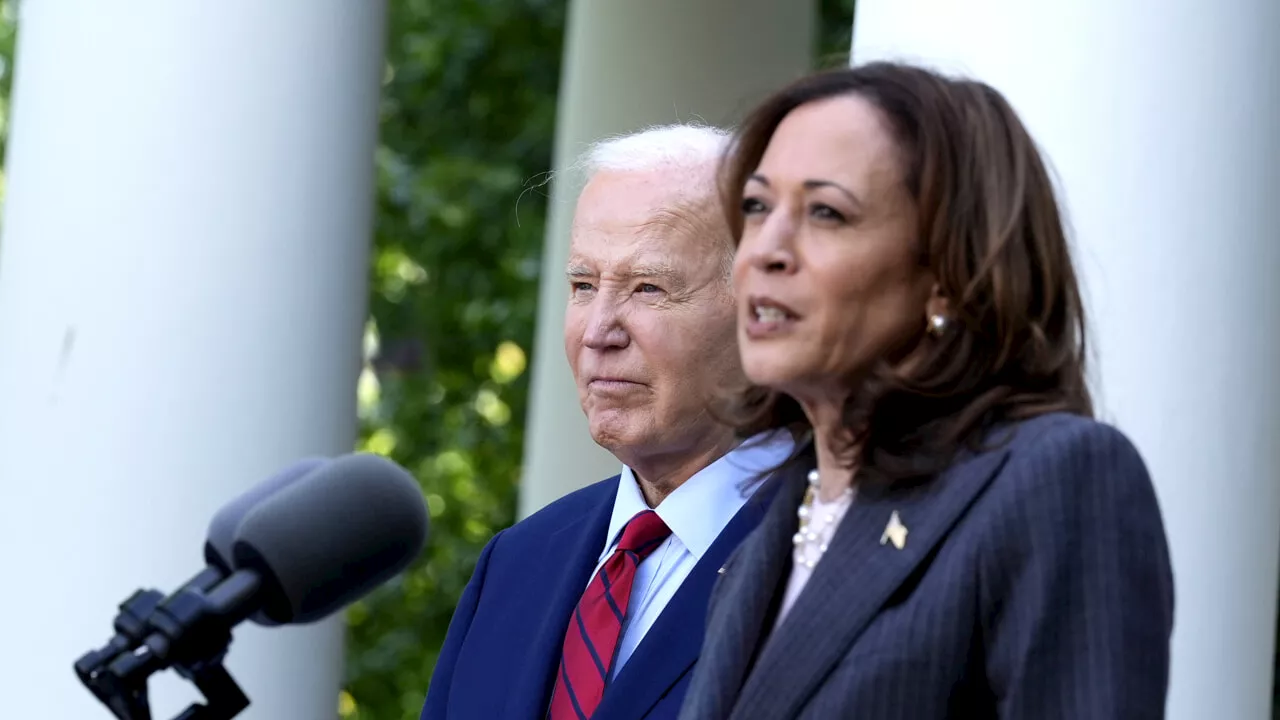 Kamala Harris è la probabile anti-Trump, ma la certezza non c'è: ecco perché