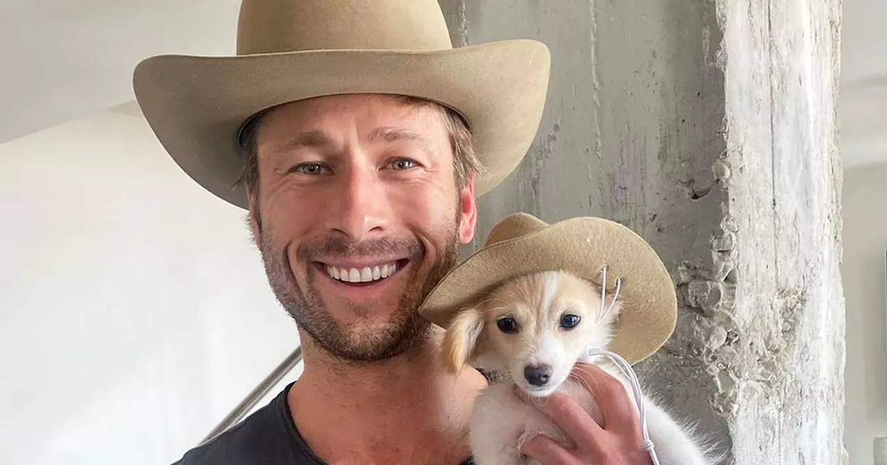 Glen Powell’s Rescue Dog: What to Know About Brisket