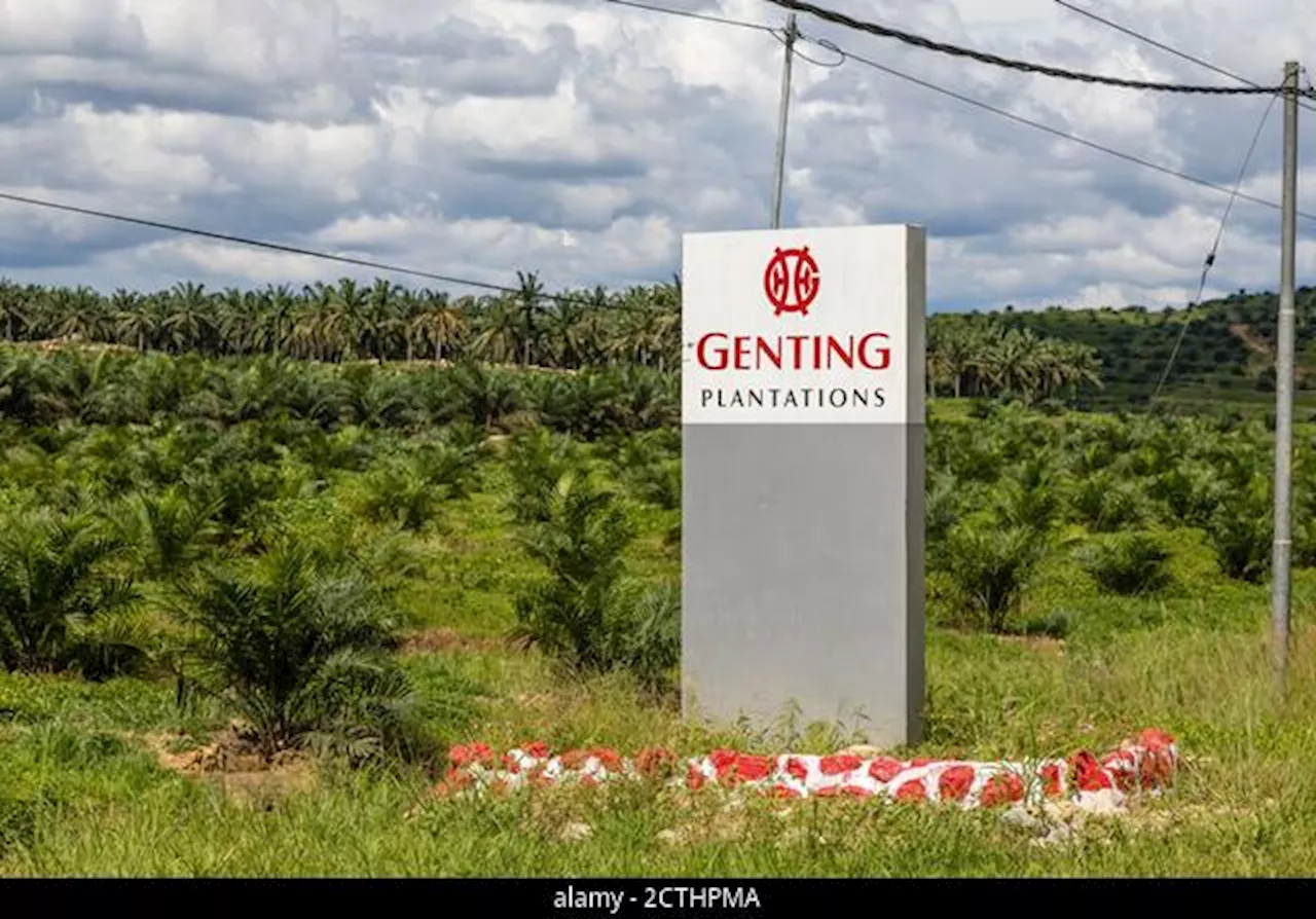 Genting Plantations dijangka bangunkan projek GDV RM4.6b di Indonesia