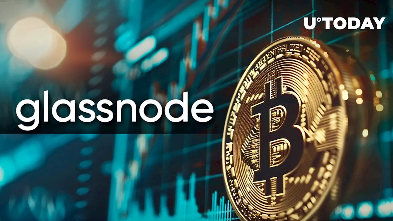 'Bitcoin Never Halts': Glassnode Indicators Show Bullish Optimism