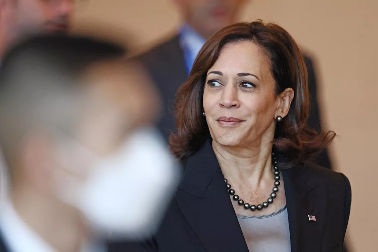 Quem Kamala Harris poderá escolher como companheiro de chapa?