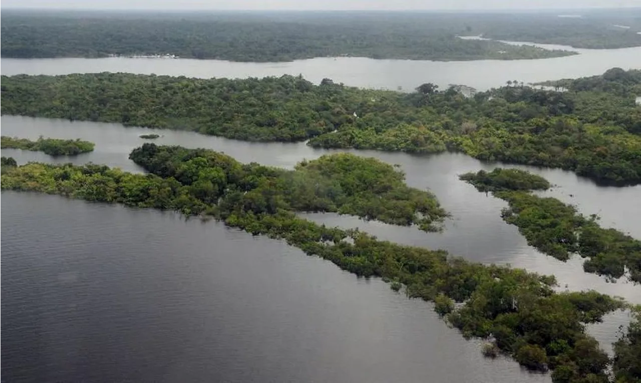 UE anuncia contribuição de 20 milhões de euros para o Fundo Amazônia