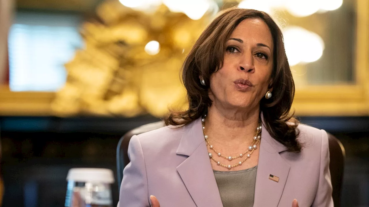 Kamala Harris, tutto sulla nuova candidata a presidente Usa