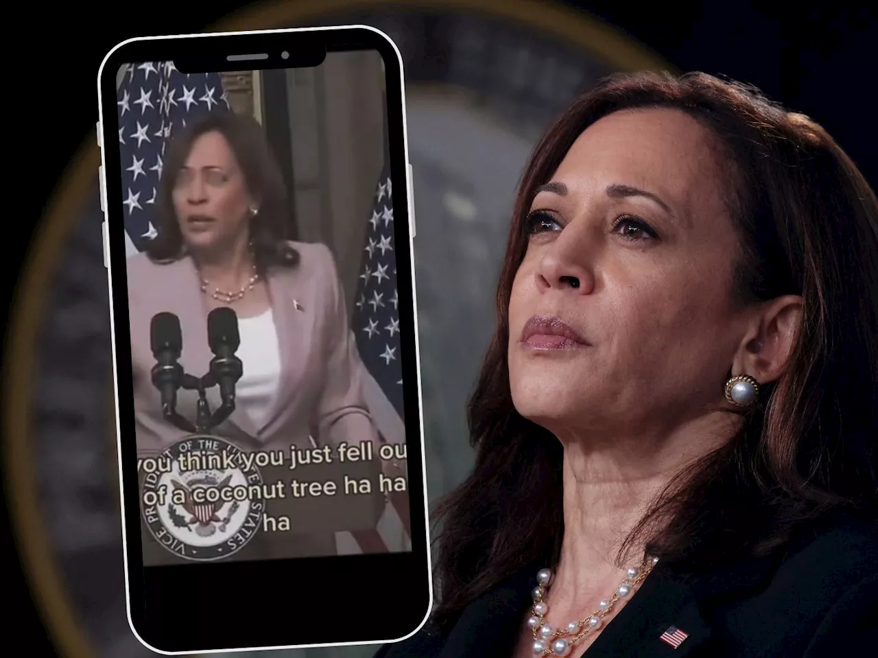 Kamala Harris und die Kokospalme: Ein Meme erobert die politische Szene