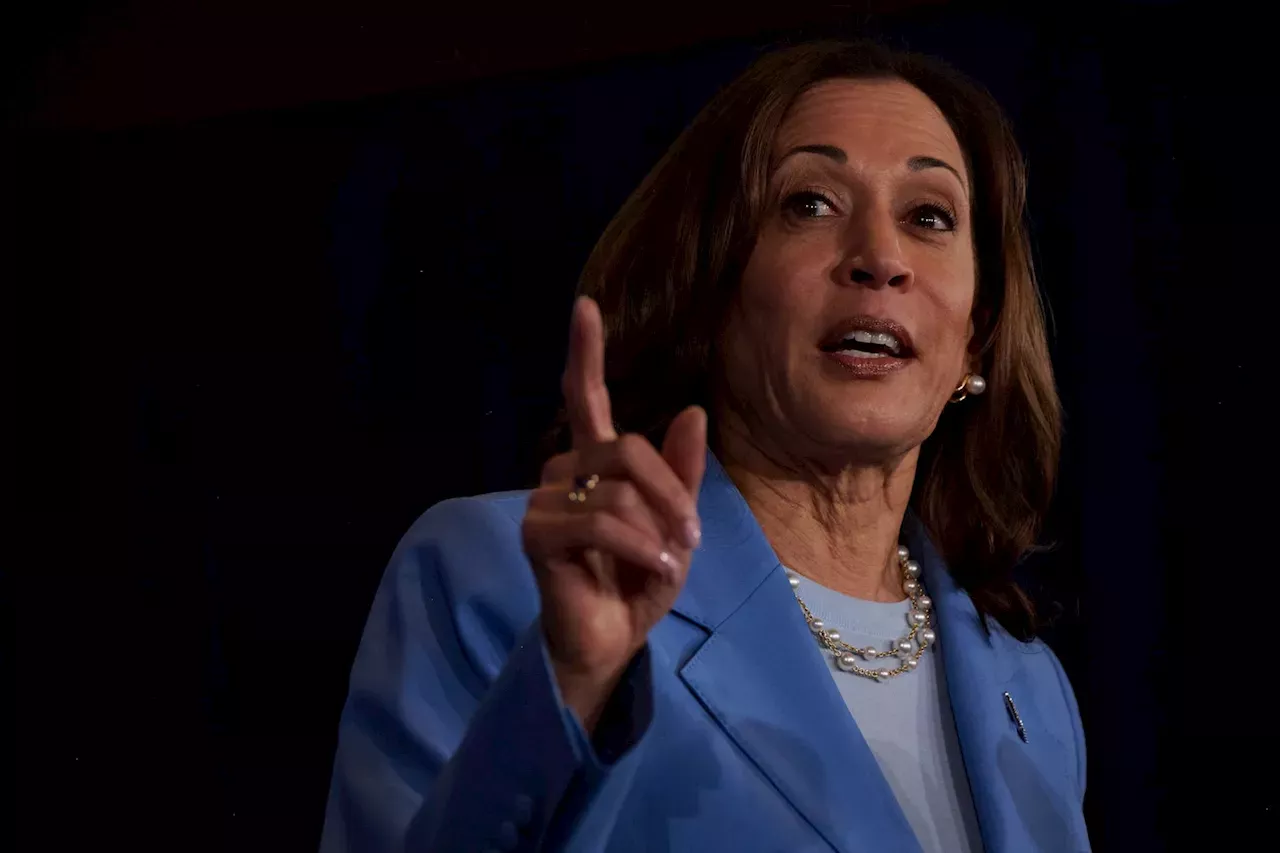 Election 2024 live updates Pelosi backs Harris as endorsements for