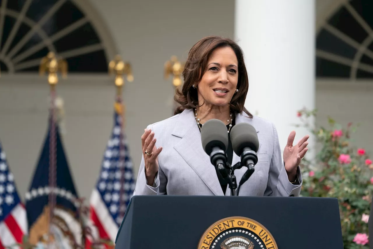 Fox pundits rehash attacks on ‘radical and incompetent’ Kamala Harris