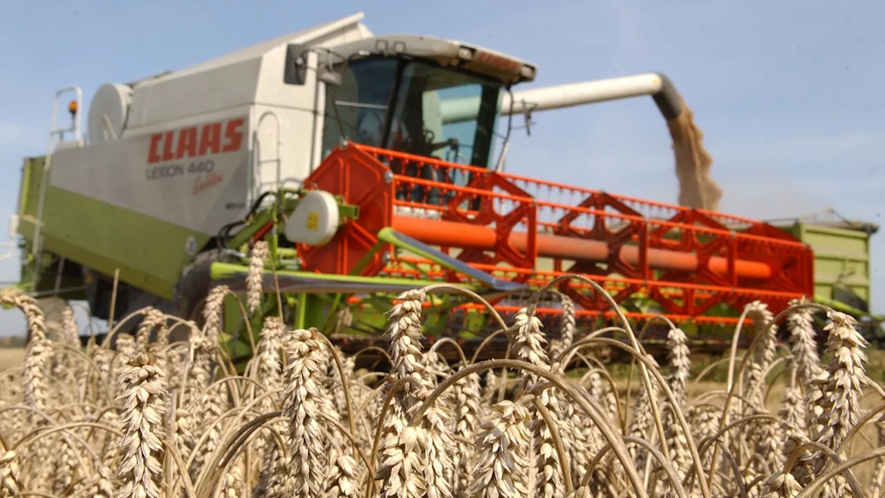 Über zwei Monate: Produktion bei Hersteller Claas heruntergefahren