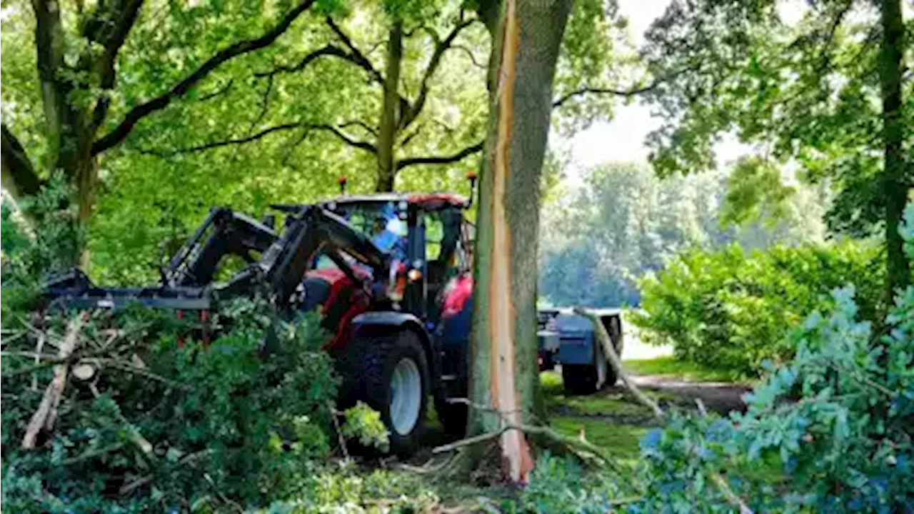 Details zum Unglück in Delmenhorst: So heftig war der Blitzeinschlag