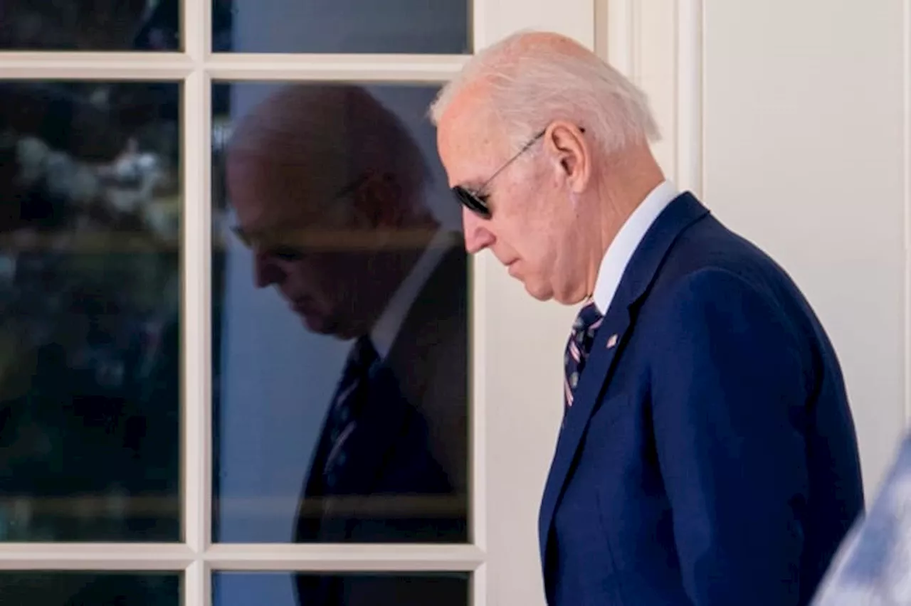 Path to the Polls: Was forcing President Biden to step down from reelection bid an intra-party coup?
