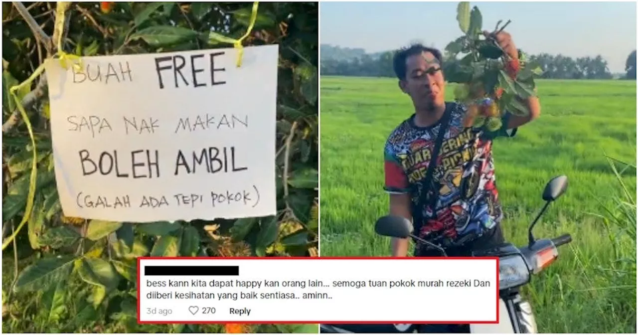 Malaysians Praise Rambutan Tree Owner for Generously Giving Away FREE Fruit to the Public!