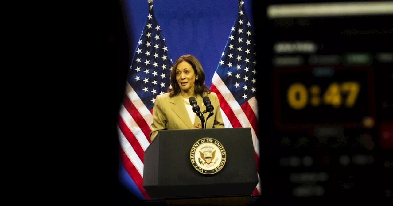 If Kamala Harris becomes the Democratic nominee, who could be her vice president?