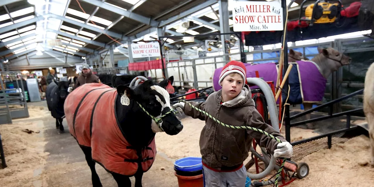 Biosecurity measures issued for livestock shows in Alabama