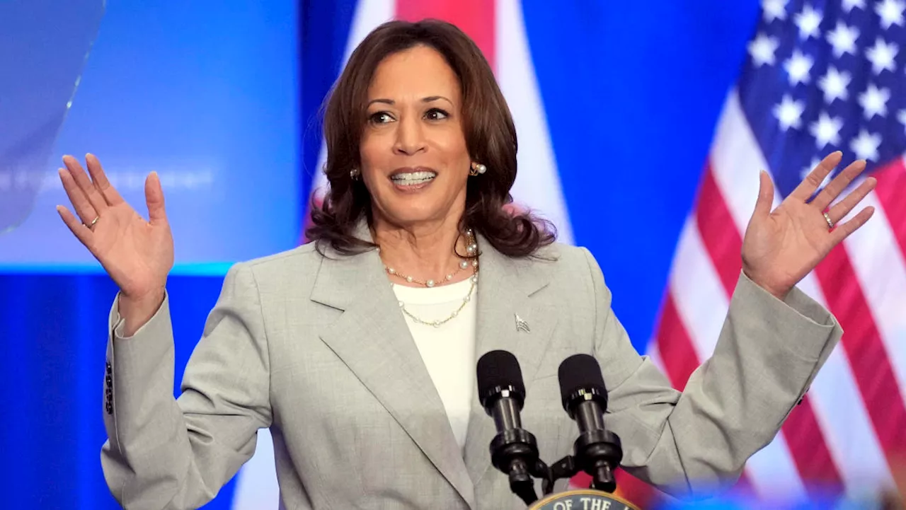 Biden endorses Harris for 2024: A look at the VP's policies