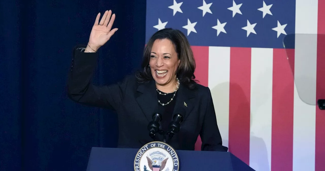 Kamala Harris calls herself the presumptive nominee. Is that term too presumptuous?