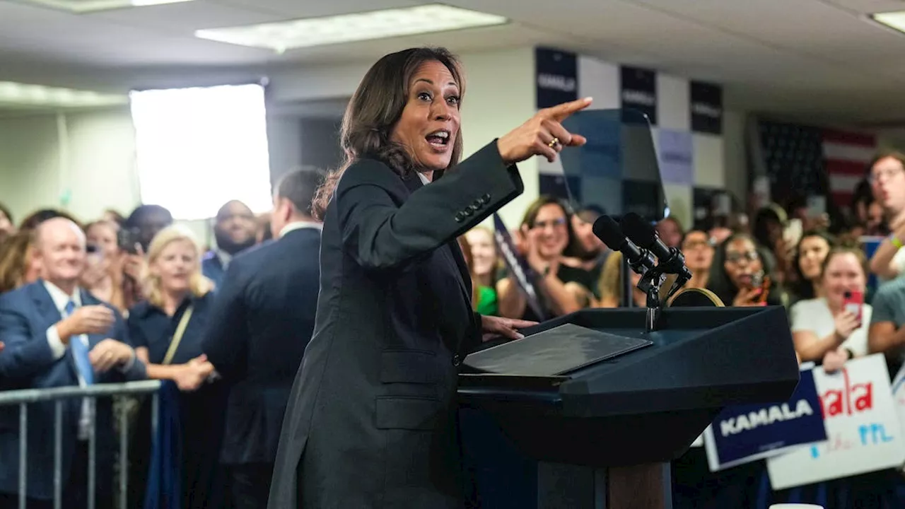 Kamala Harris bezeichnet Trump als «Raubtier» und «Betrüger»