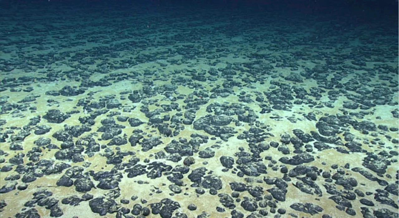 New deep ocean 'Dark Oxygen' find could alter understanding of earth's history