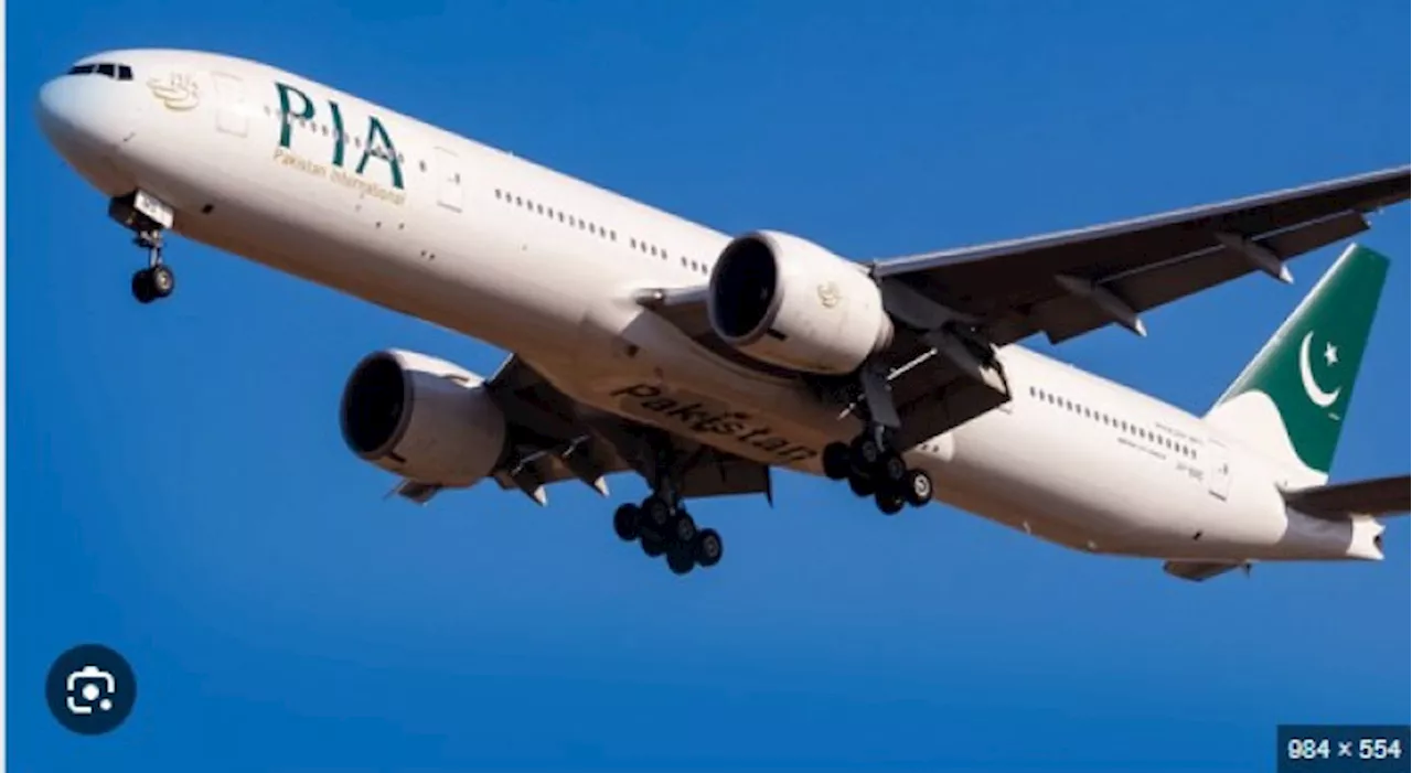 PIA’s privatization delayed until September