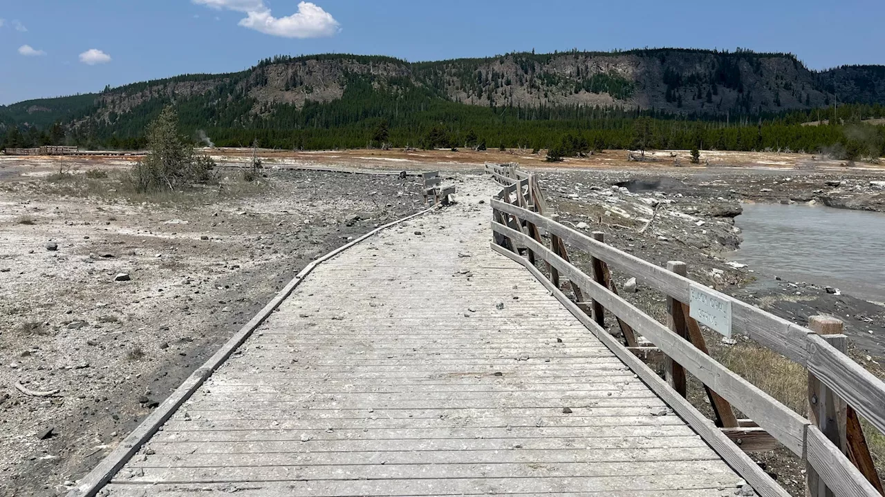 Surprise blast of rock, water and steam sends dozens running for safety in Yellowstone