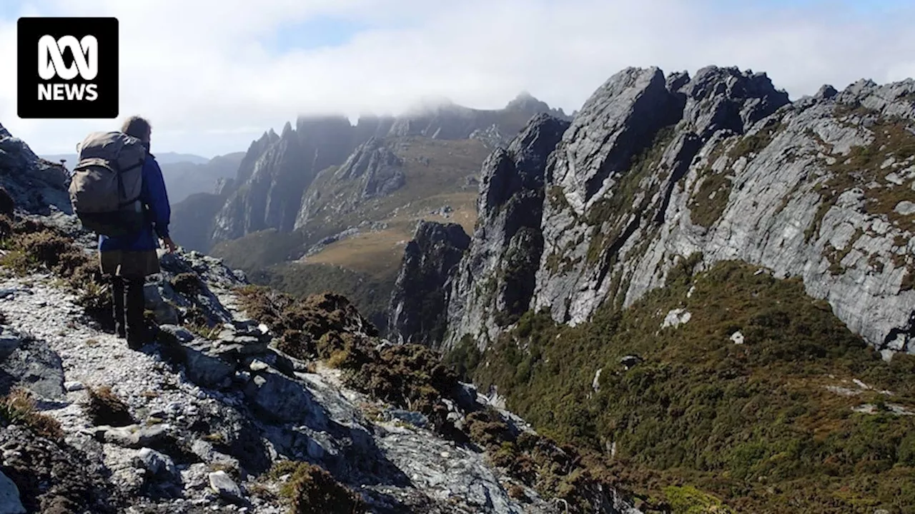 Bushwalker missing on Tasmania's Eastern Arthurs Traverse hike after failing to contact friends