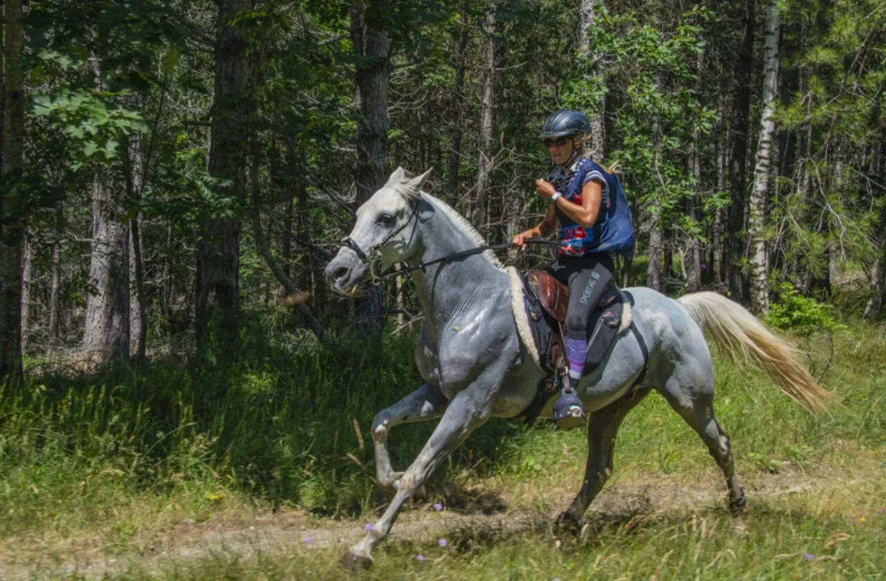 Une course mythique est annulée en Occitanie, voici pourquoi