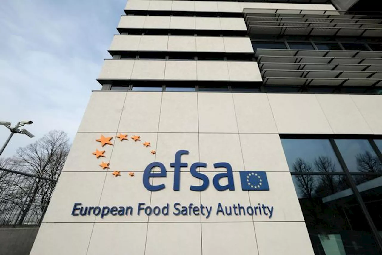 Efsa, con cambiamenti climatici aumenta rischio batteri vibrioni