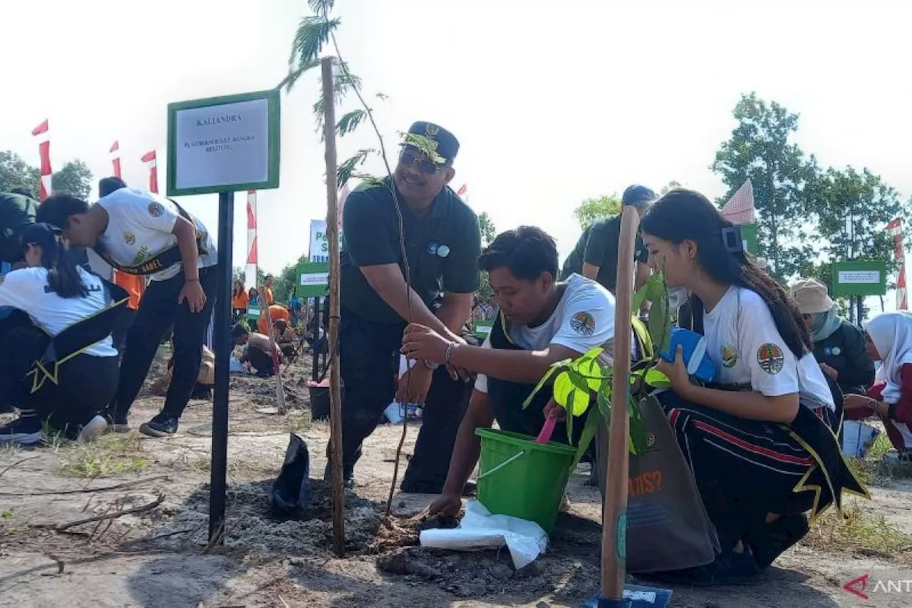 Pemprov tanam 57 ribu pohon pada peluncuran program 'Semarak Babel'