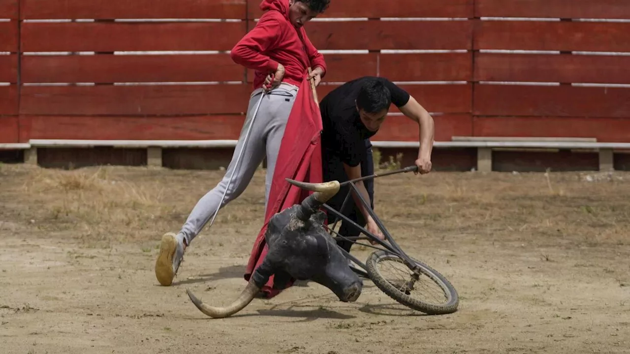 Colombian bullfighters react to a recent ban on the centuries-old tradition and vow to keep it alive