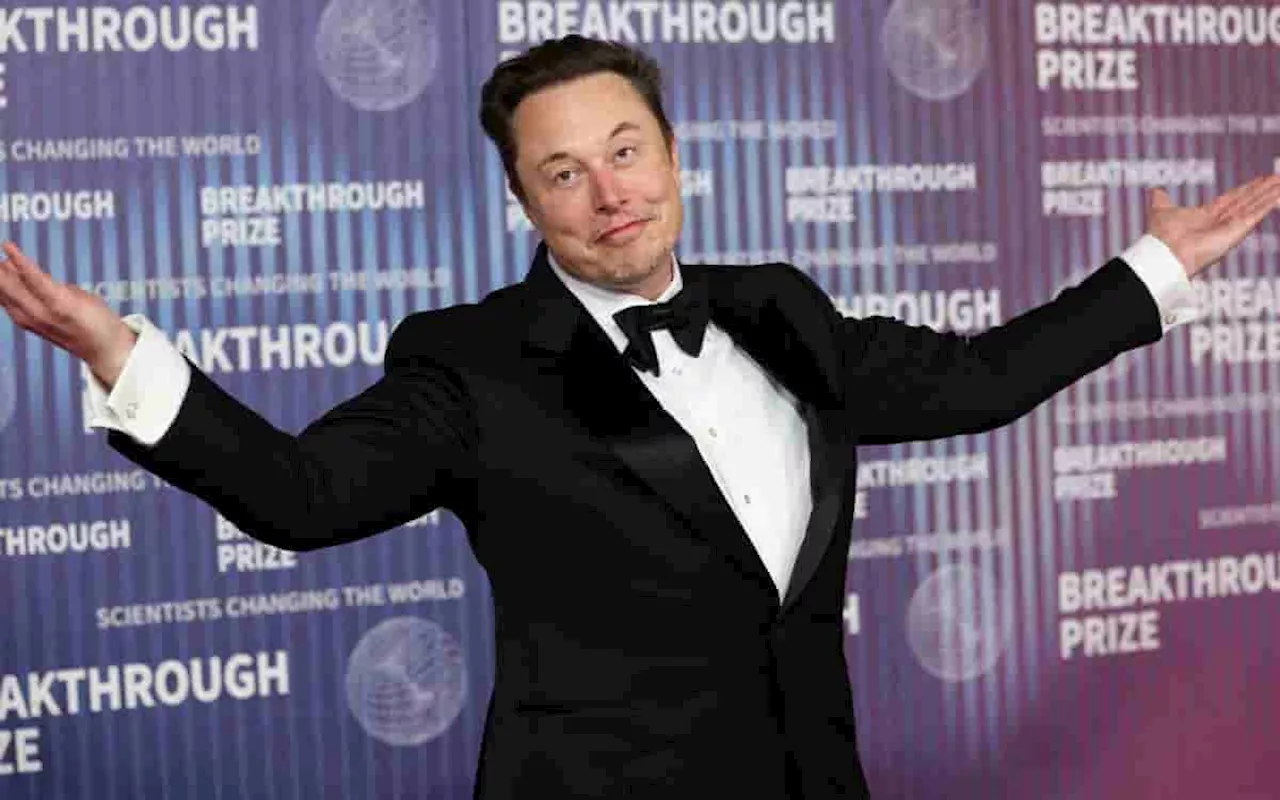 Musk paraliza la fábrica de Tesla en México hasta después de las elecciones en Estados Unidos