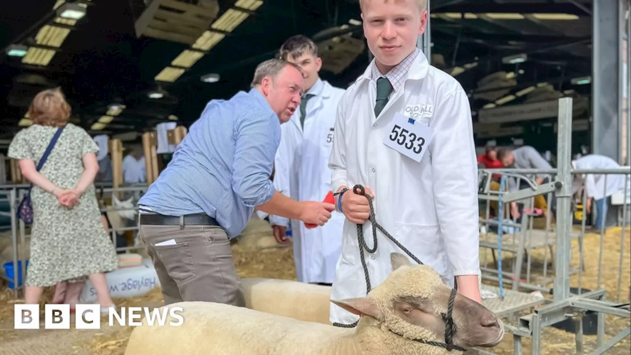 Royal Welsh Show: What does a Welsh farm look like in 10 years?