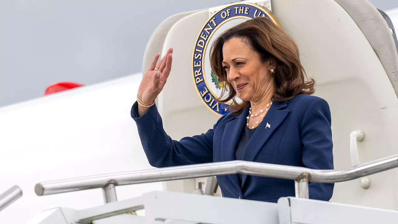 Élection américaine: pourquoi le cocotier est devenu le symbole de Kamala Harris sur les réseaux sociaux