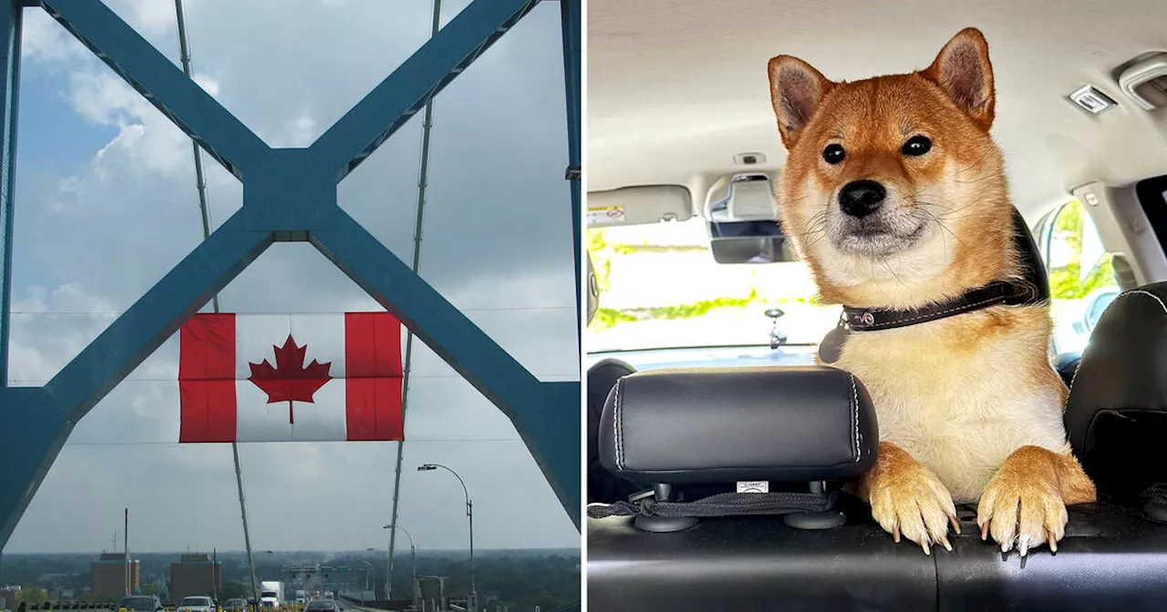 U.S. axes strict border rule changes for Canadians travelling with dogs