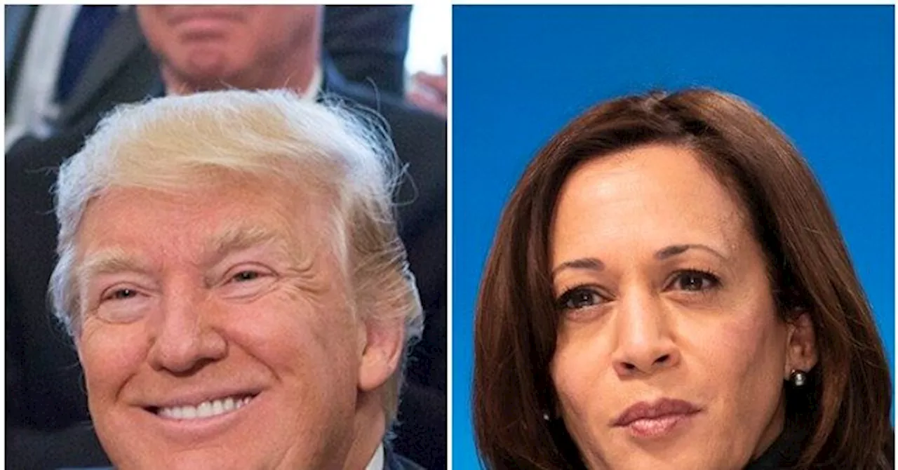 Poll: Donald Trump Leads Kamala Harris, Has 18-Point Advantage Among Young Voters