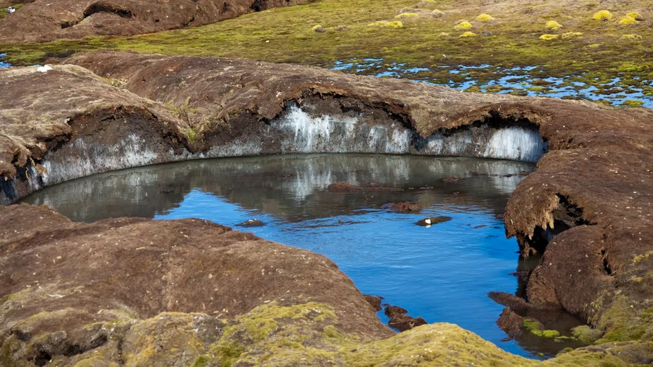 Keine tickende Zeitbombe: Der auftauende Permafrost gefährdet die Erde anders als angenommen