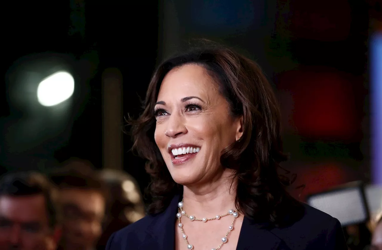 Ohio’s DNC delegation endorses Kamala Harris for the Democratic presidential nomination