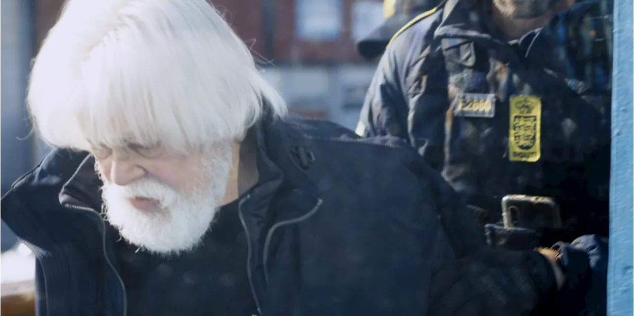 Anti-Whaling Activist Paul Watson Arrested in Greenland, May Face Extradition to Japan