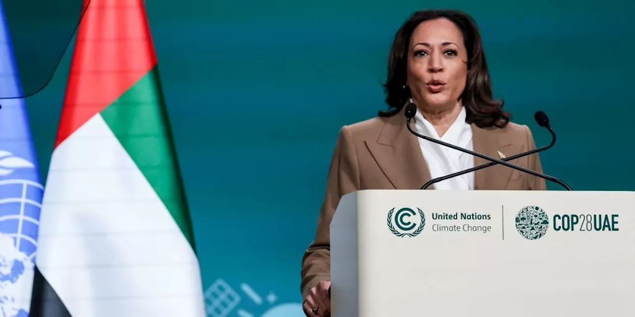 Green Groups Endorse Kamala Harris, Say She'll 'Raise Climate Ambition'