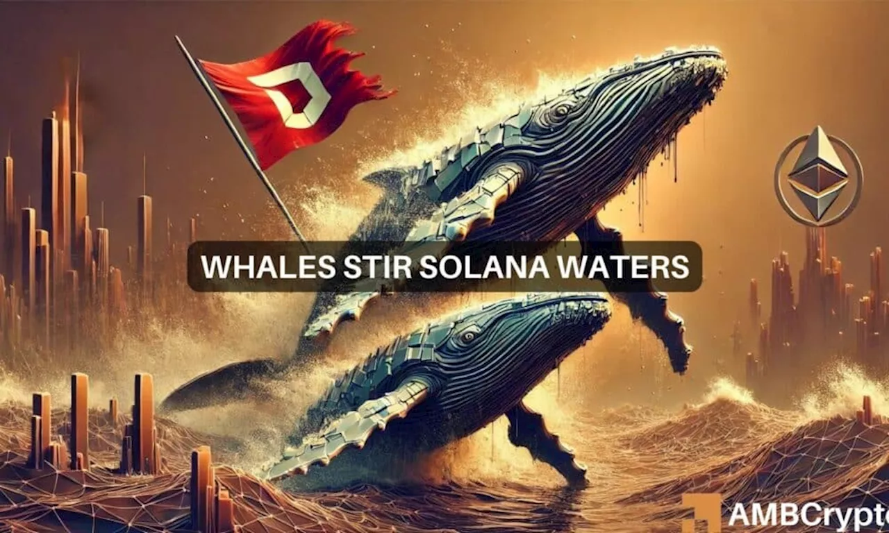 Solana’s $57M whale move raises red flags