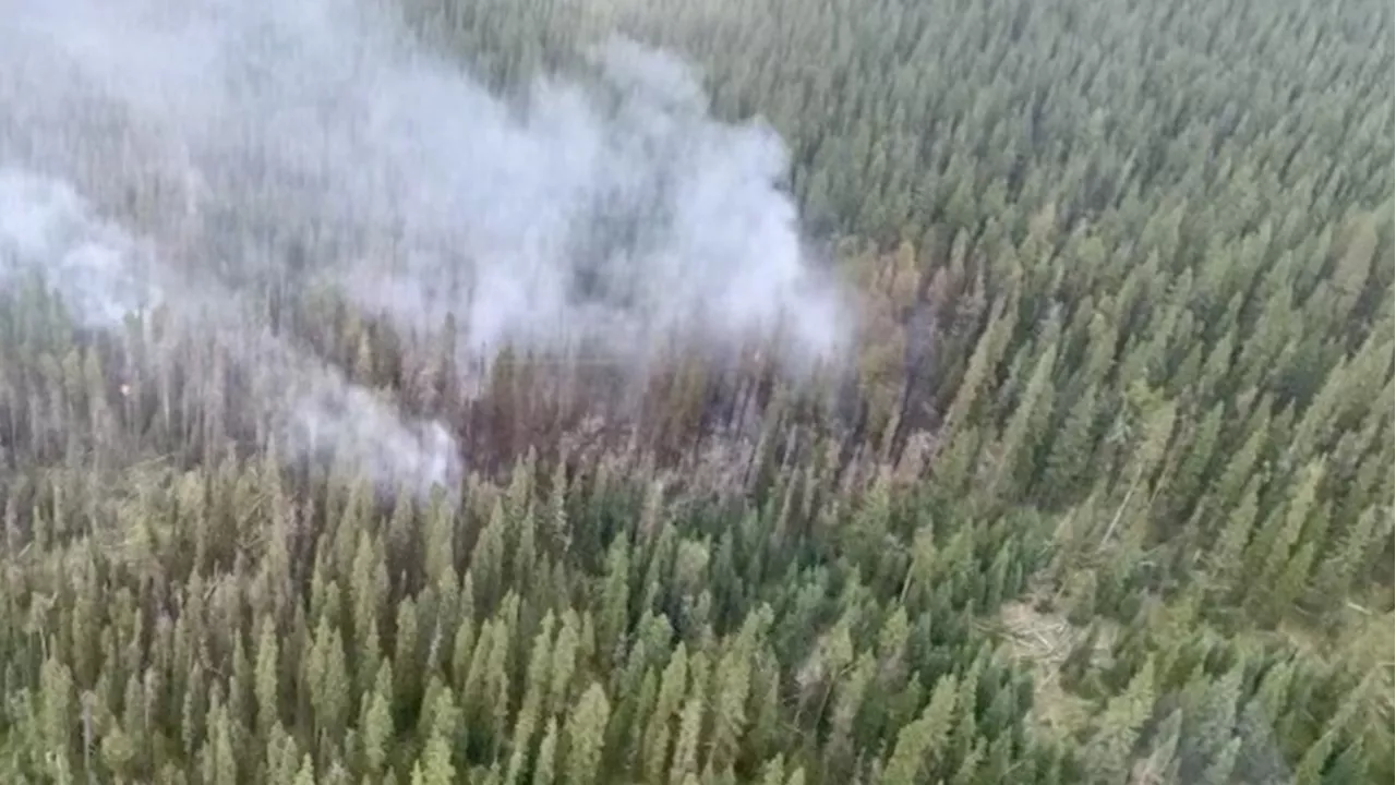 One wildfire burning in Calgary Forest Area as risk climbs to 'extreme ...