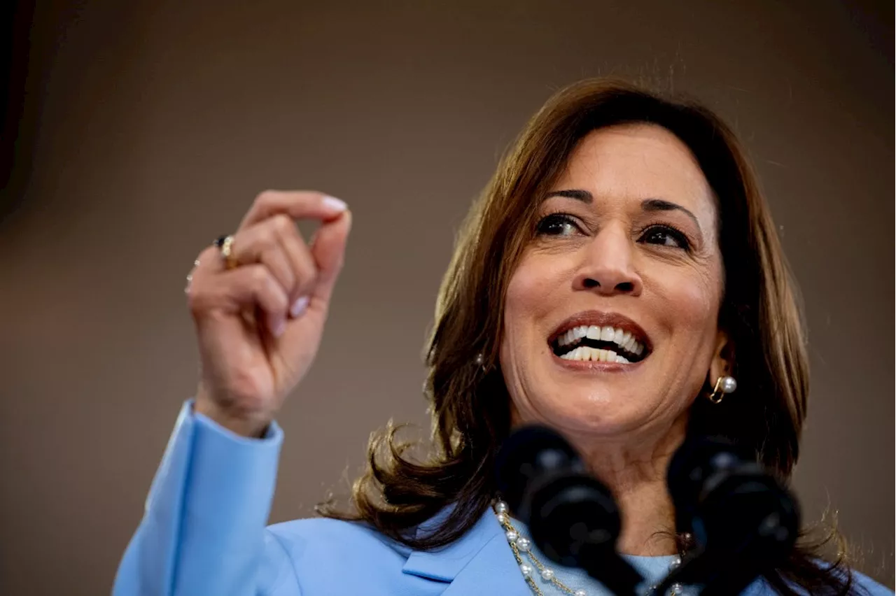 Harris visits battleground Wisconsin in first rally as Democrats coalesce around her for president