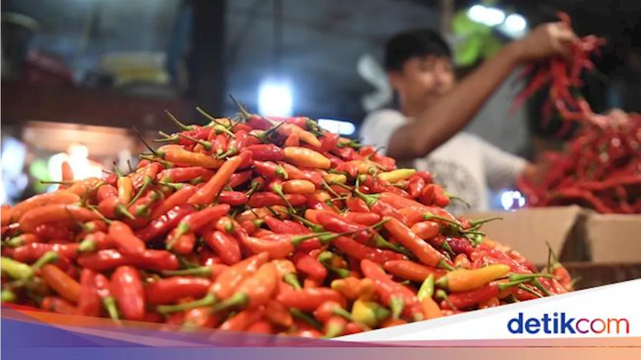 Harga Cabai Rawit Merah Kian Pedas Gegara Kekeringan di Sentra Produksi