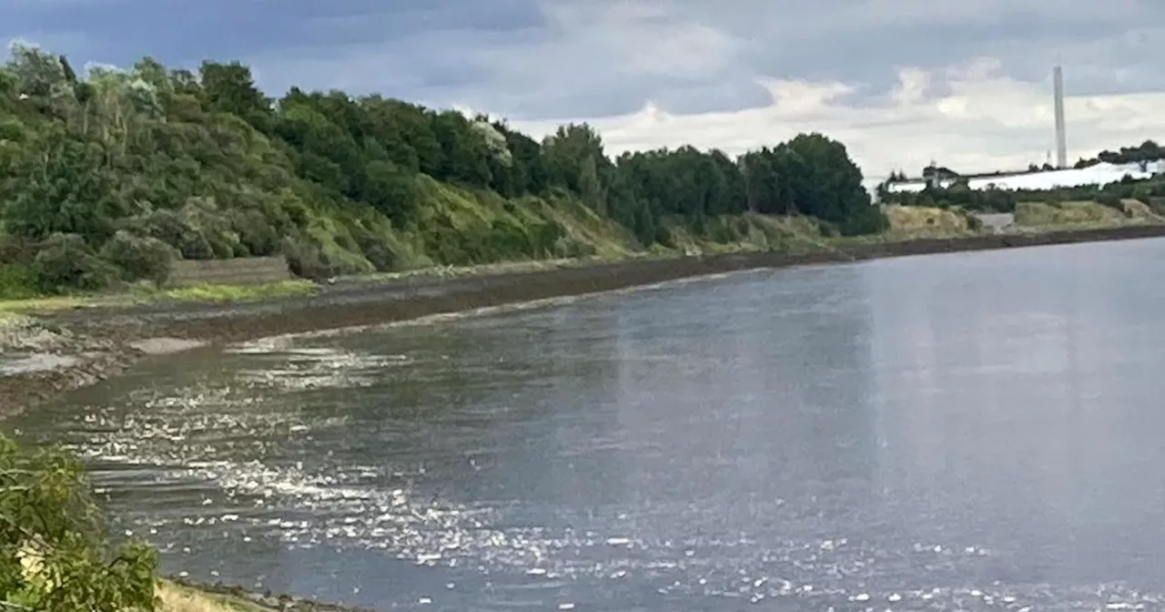 Couple horrified by what they saw in the River Mersey while out walking