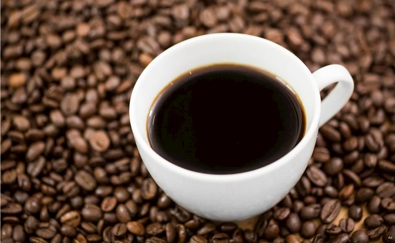 Descubre cuáles son las mejores marcas de café soluble, según Profeco